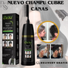 NUEVO TINTE SHAMPOO CUBRE CANAS  DEXE